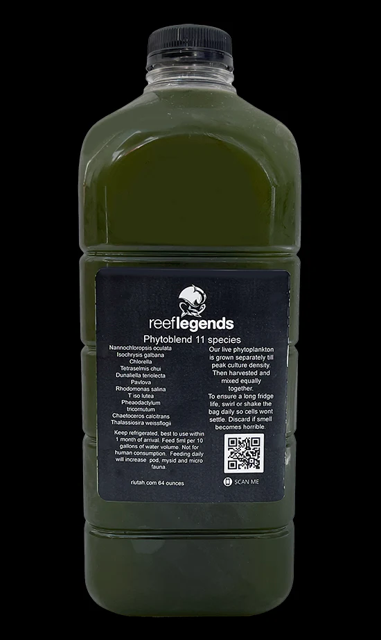 13 species PhytoBlend - Image 4