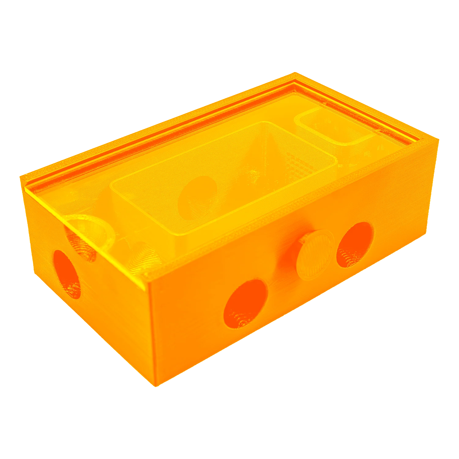 Bristle Worm Trap - Image 7