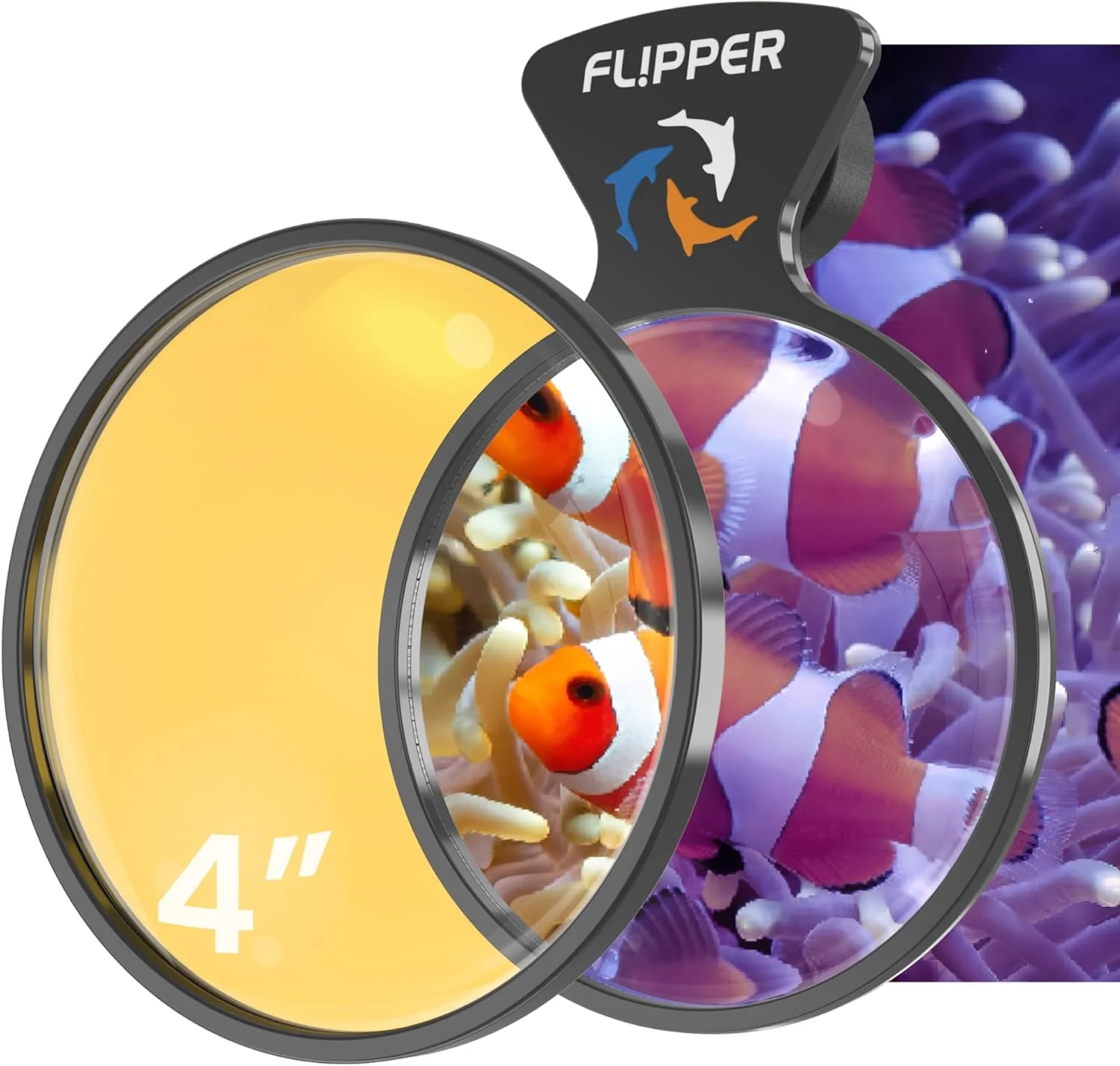 DeepSee Viewer Black - Orange Filter - Image 5