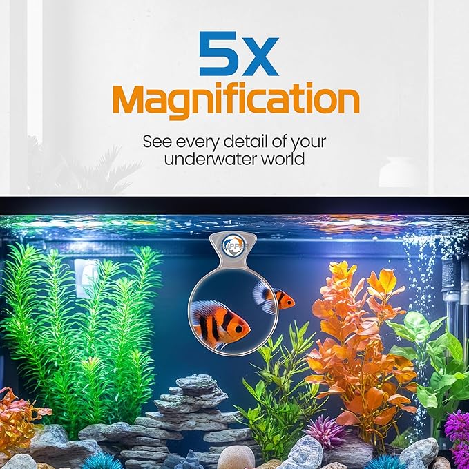 DeepSee Viewer Clear Max 5" - Image 4