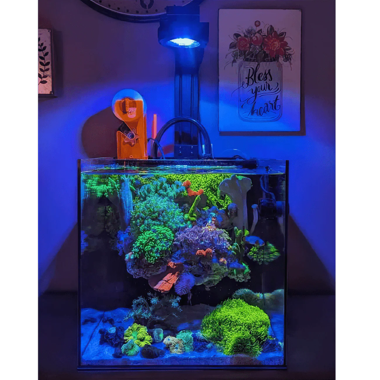 Dual Pixel LED Bundle - Image 9