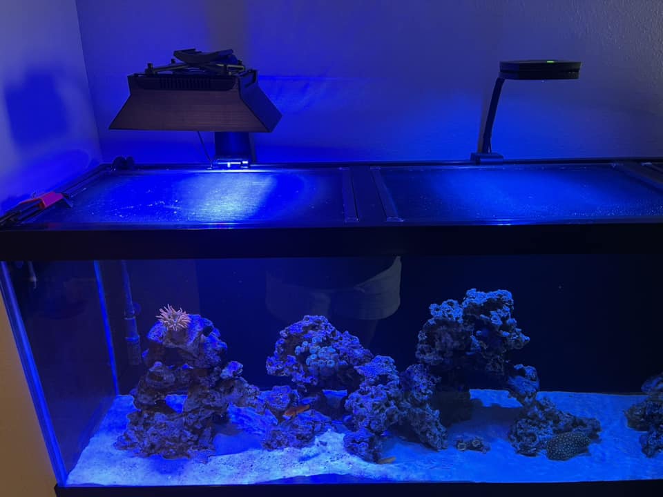Ecotech Marine Radion XR15 G3, G4, G5 & G6 PRO Light Shade - Image 5