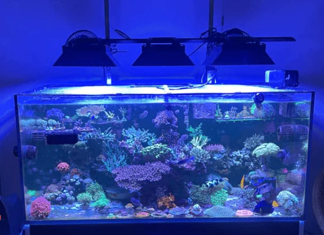 EcoTech Marine Radion XR30 Light Shade - Image 4