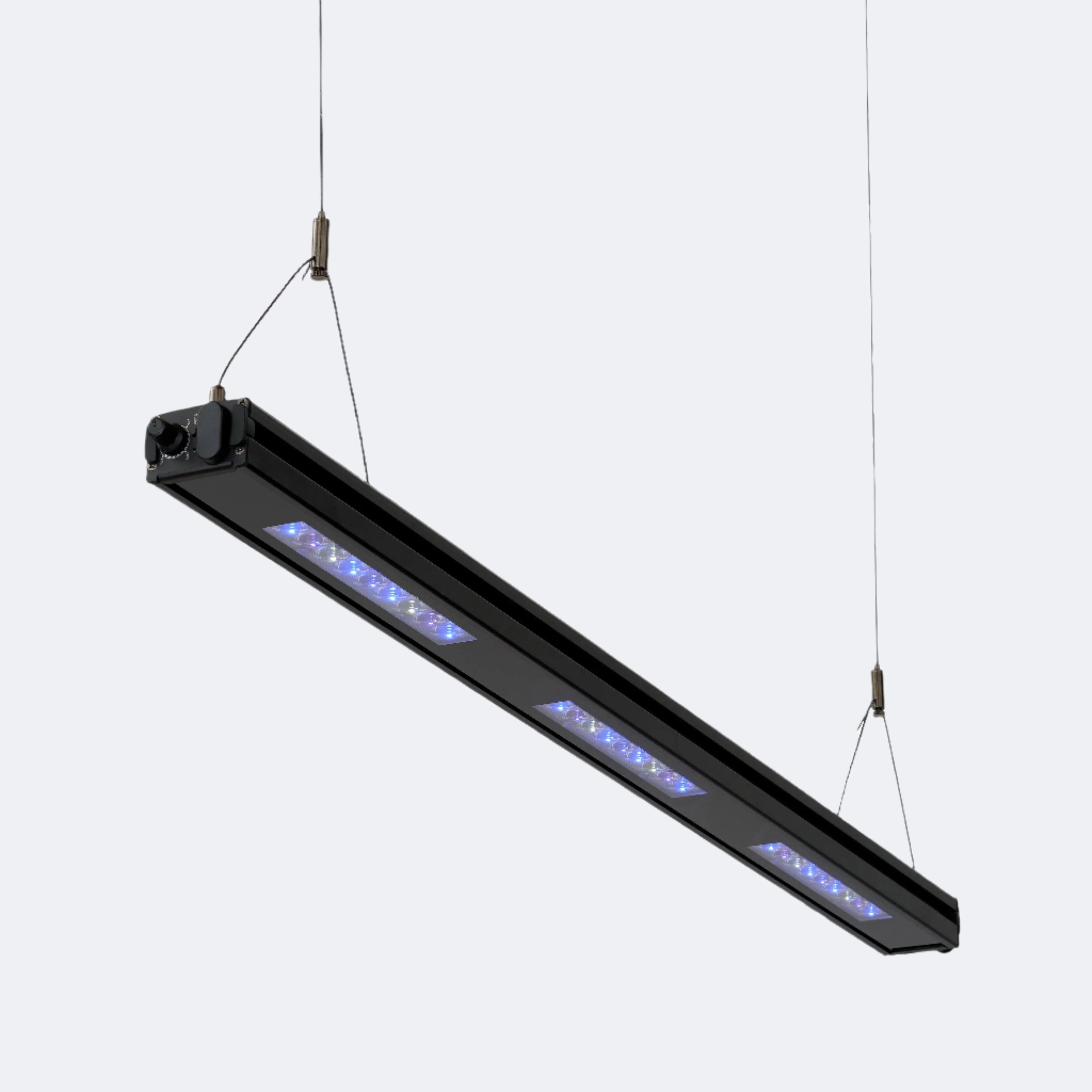 Edge 35