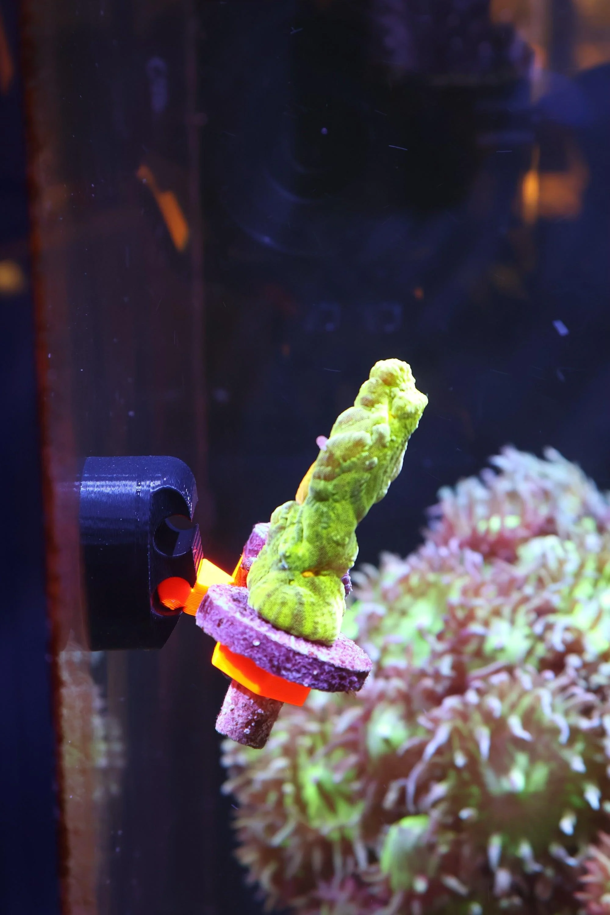 FragLoc™ - Magnetic Coral Frag Rack Kit - Image 4