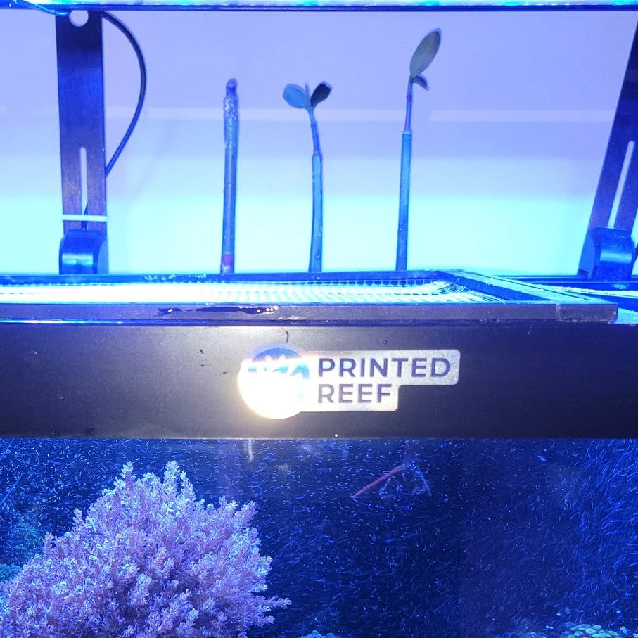 FragLoc™ - Mangrove Seedling & Aquatic Plant Holder - Image 2