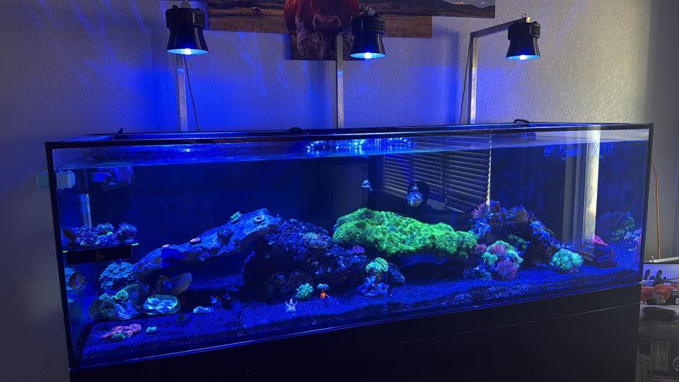 Kessil A360X/XE Light Shade - Image 2