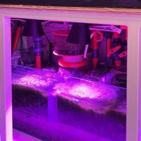Kessil A360X/XE Light Shade - Image 6