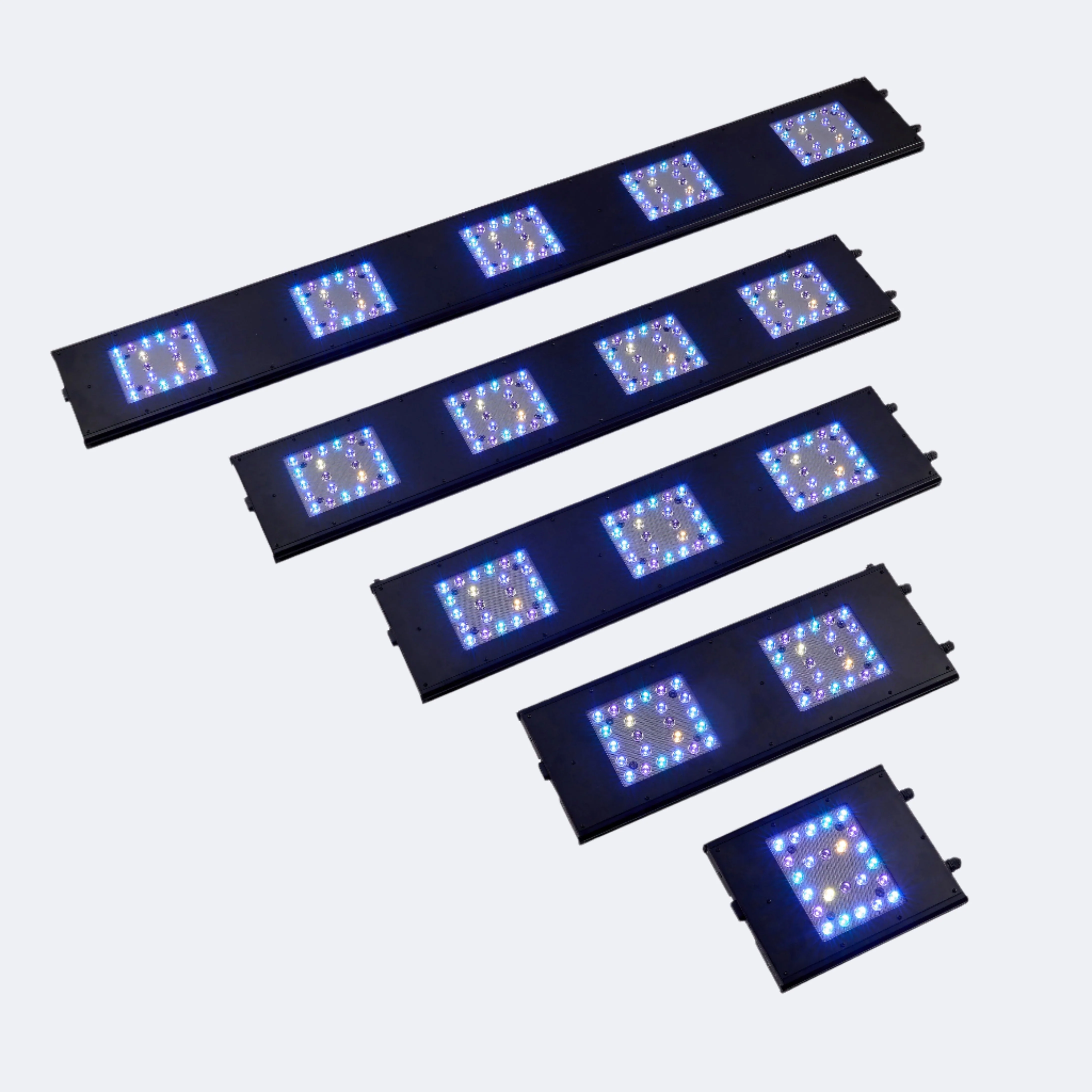 Meridian 24 - Image 5