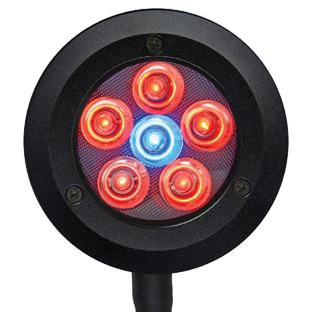ReefBreeders Pico LED - Image 11