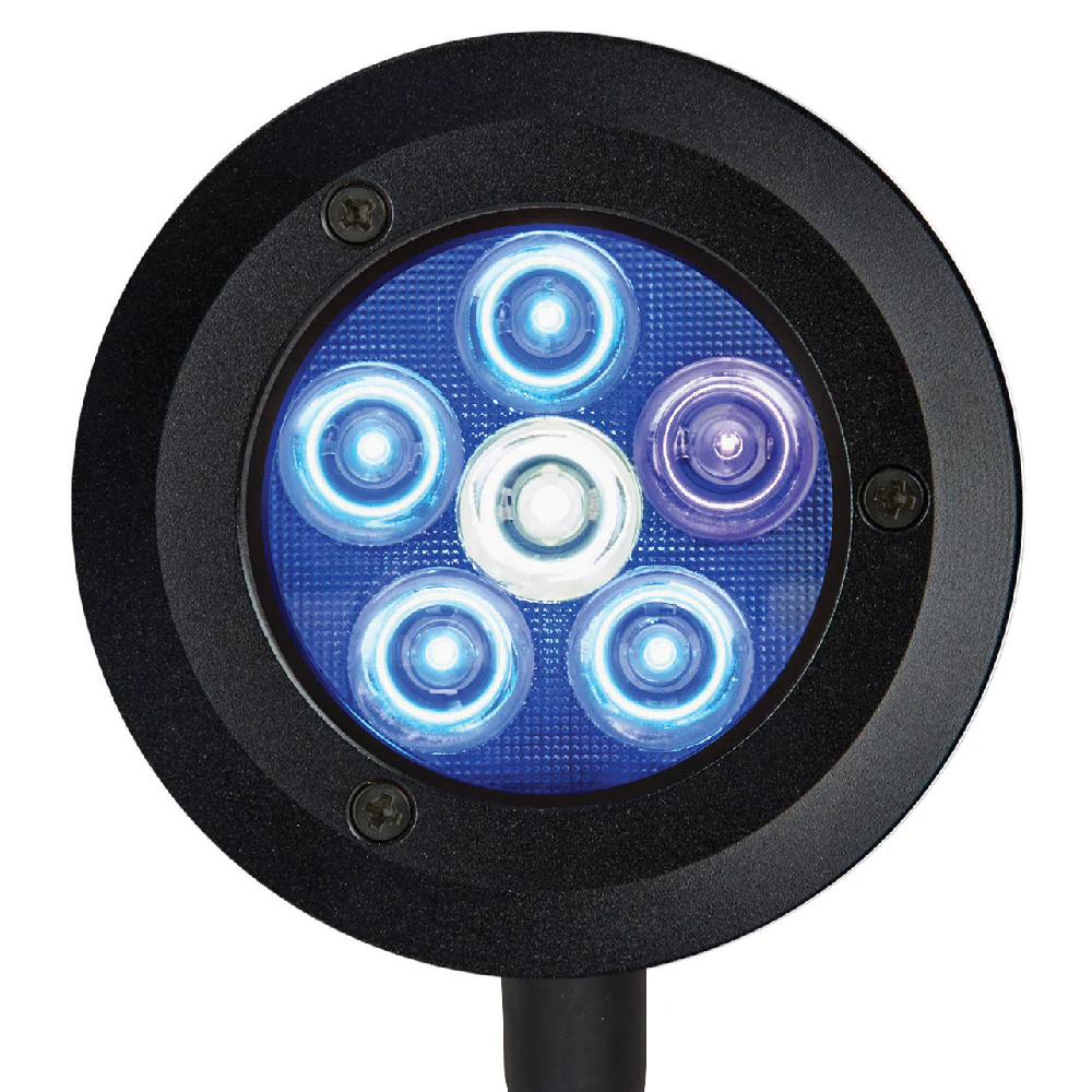 ReefBreeders Pico LED - Image 9