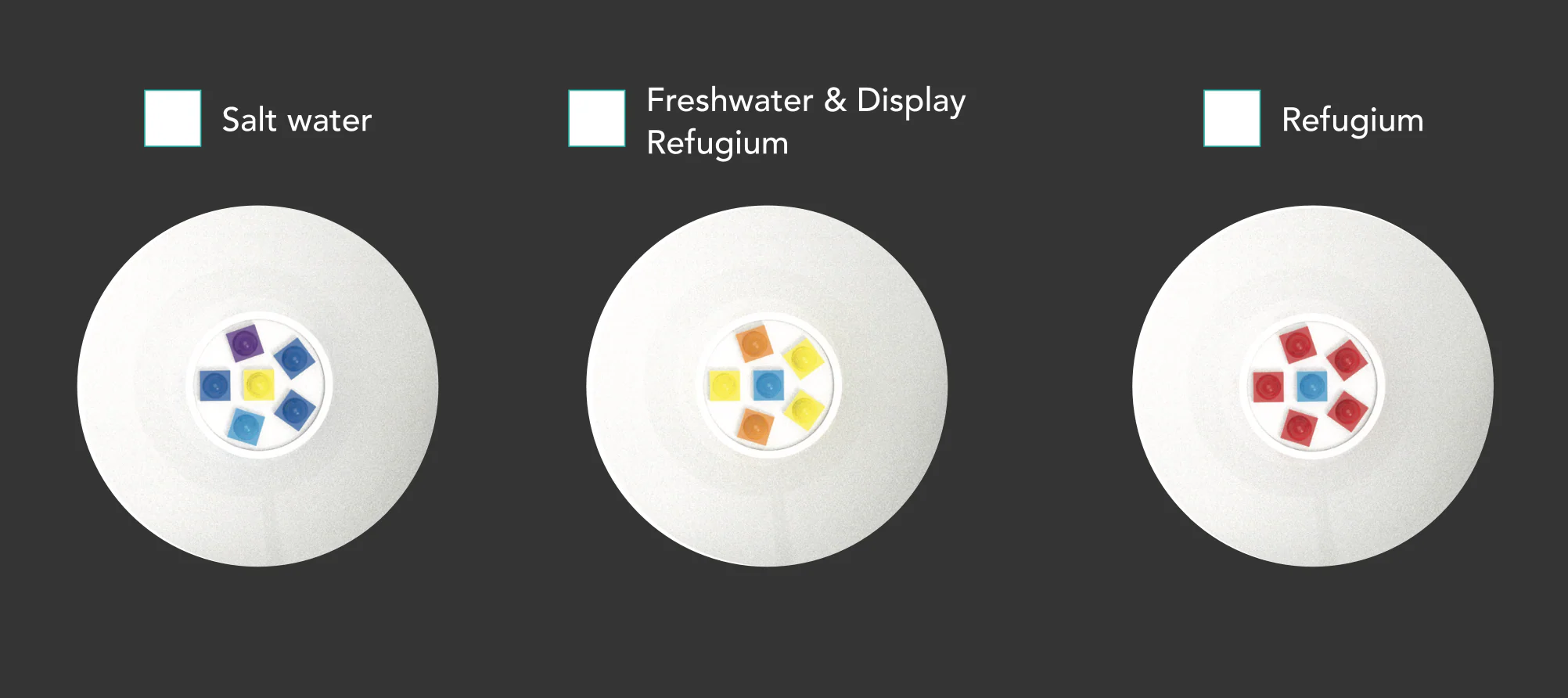 ReefBreeders Pico LED V2 - Image 5