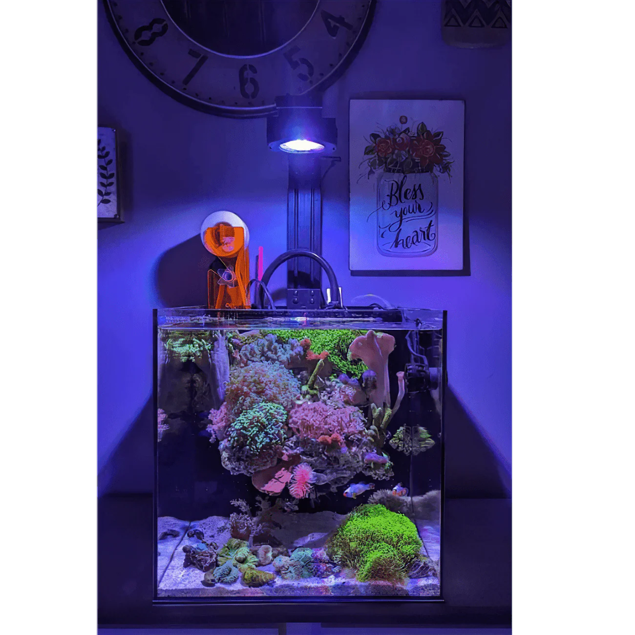 Single Pixel LED Bundle - Image 4