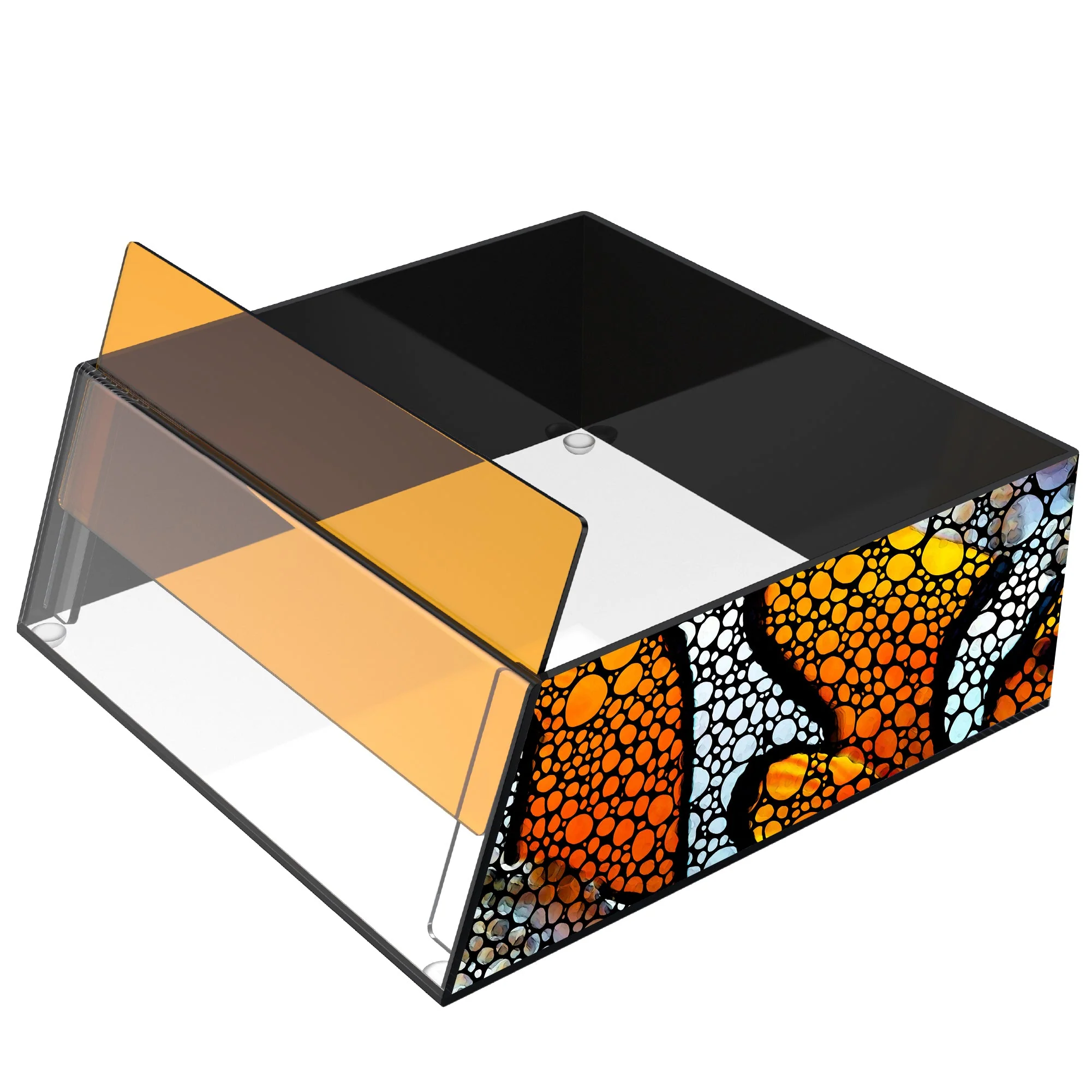 Top Down Viewer Clownfish - 8" panel