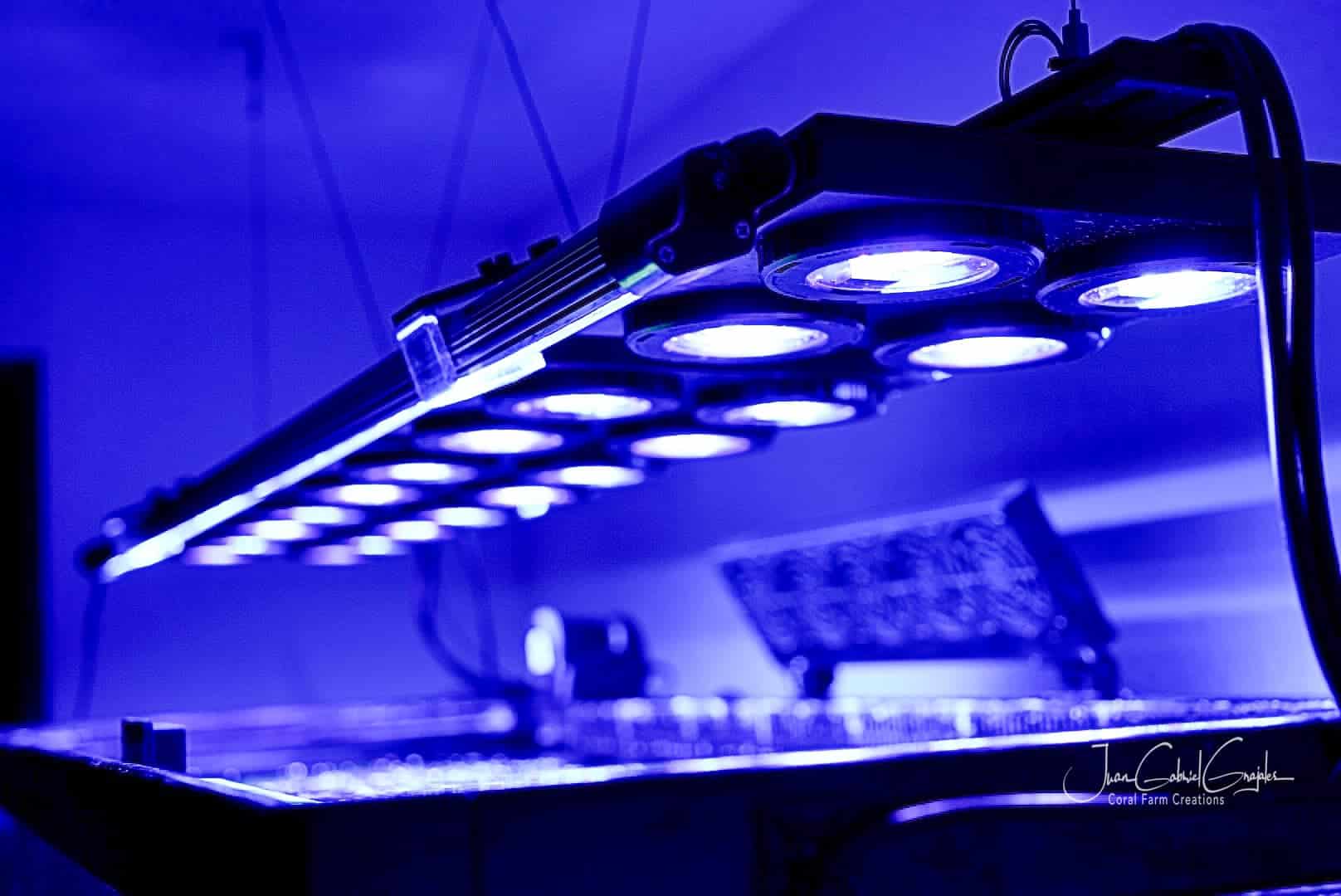 X4 Beast Mode SPS Lighting Bundle All Sizes - Image 11